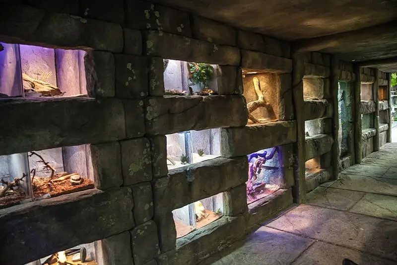 Foto Terrariums reptielen tempel Avonturia vogelkelder