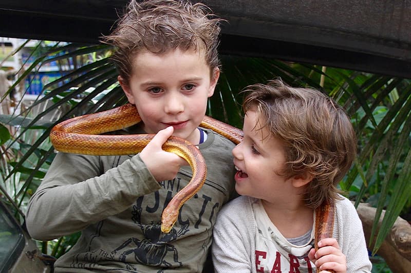 Photo Child With Snake