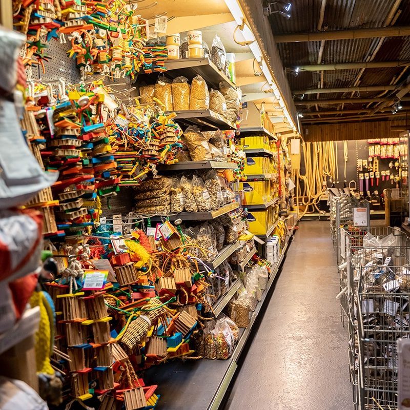 Avonturia Vogelwereld Vogel Speeltjes zoo-max