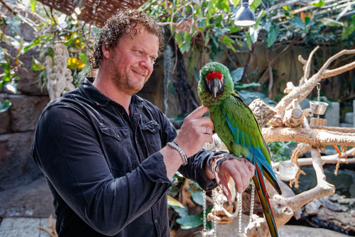 Jimmy Huijbers owner Jan Soldatenara Parrot Green Macaw