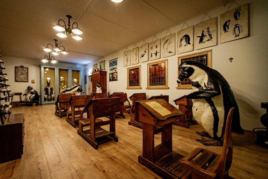 Pinguinacademy Mappa Mundia Educatief Uitje Kinderen Dierentuin Den Haag Expo Mini Zoo Pinguin