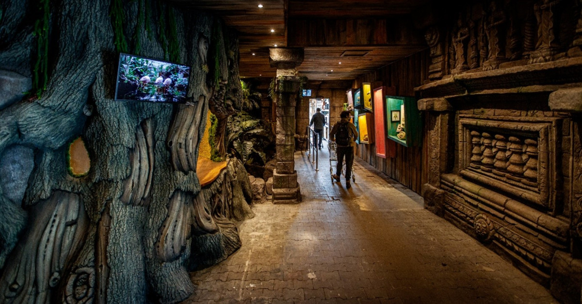 Ingang Avonturia Boom Tempel Jungle Grootste Dierenwinkel Nederland Den Haag