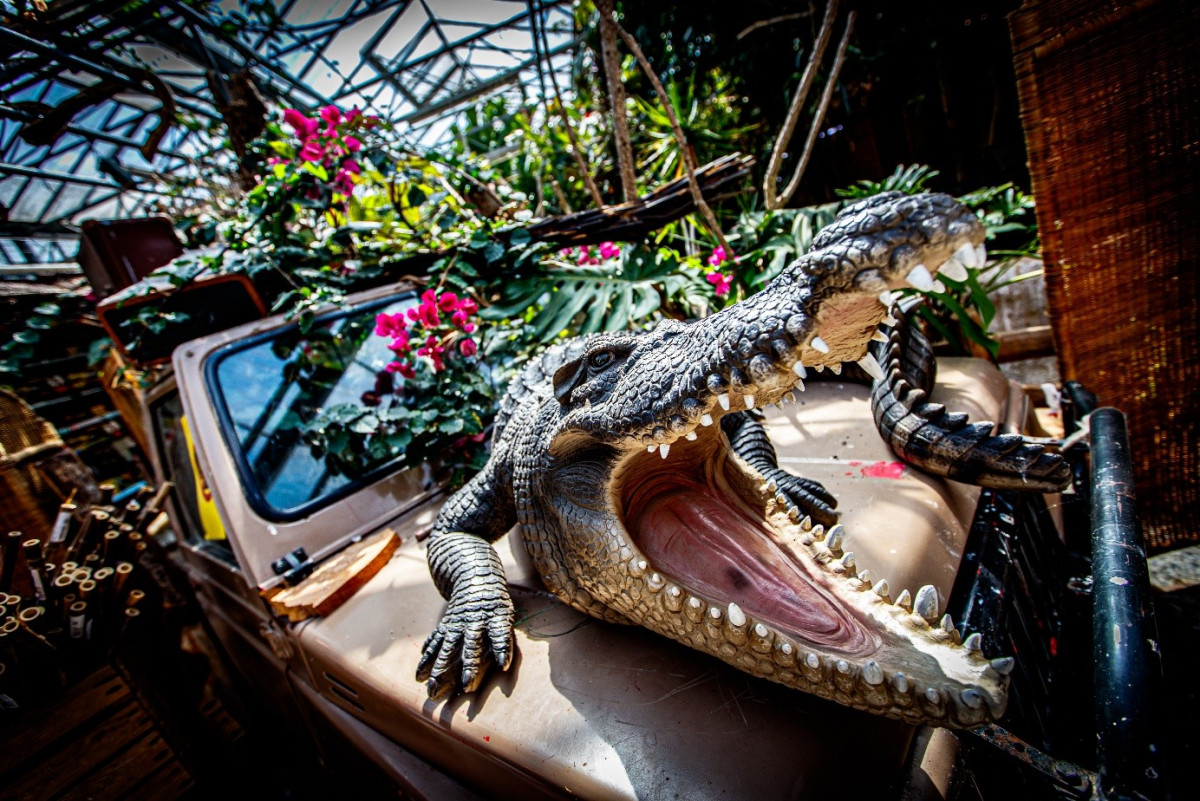 Crocodile Jeep Tropical Pond Largest Pet Shop The Netherlands The Hague