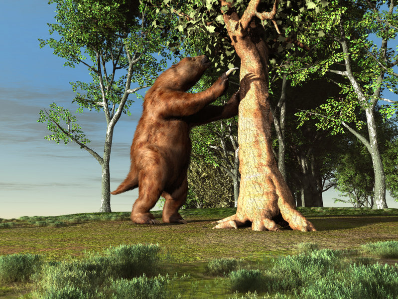 3d Illustration Of A Giant Sloth