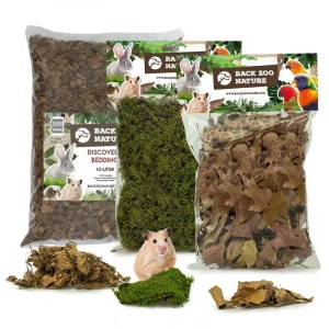 Back Zoo Nature Discovery Set Rodent 10 L
