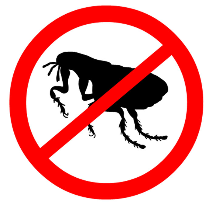 Fleas Warning Symbol