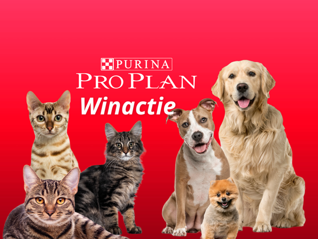 Winactie Pro Plan Purina Nieuw Hond Kat