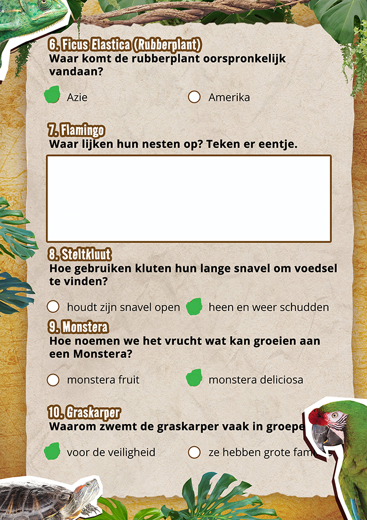 Réponses 6 10 1 Échelle