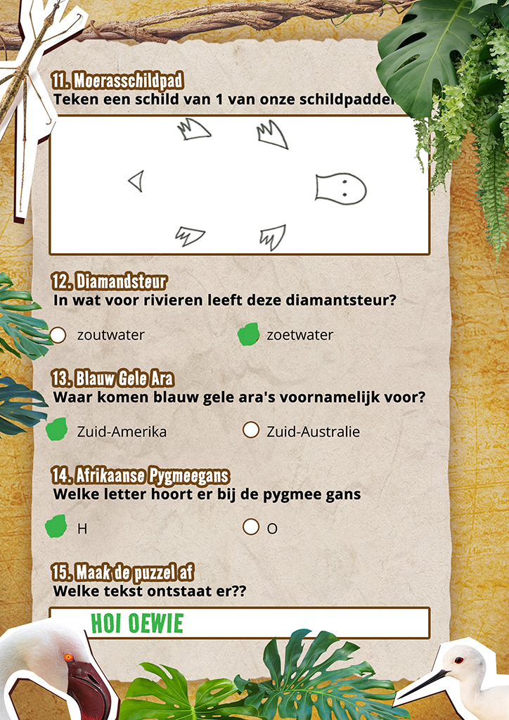 Réponses 11 15 4 Échelle