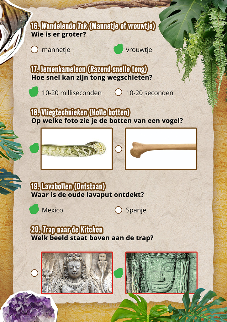 Réponses 16 20 1 Échelle