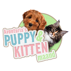 Puppy En Kitten Maand Avonturia Den Haag Nieuw