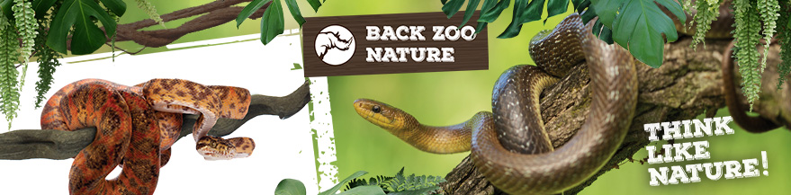 Terrarium kopen en natuurlijk inrichten met de producten van Back Zoo Nature