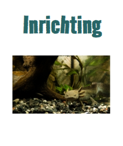 Axolotl Inrichting