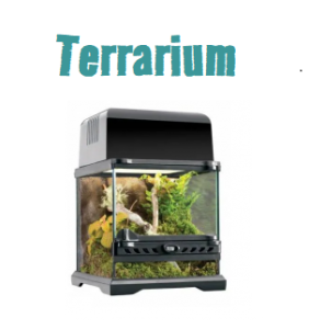 Springspin Terrarium