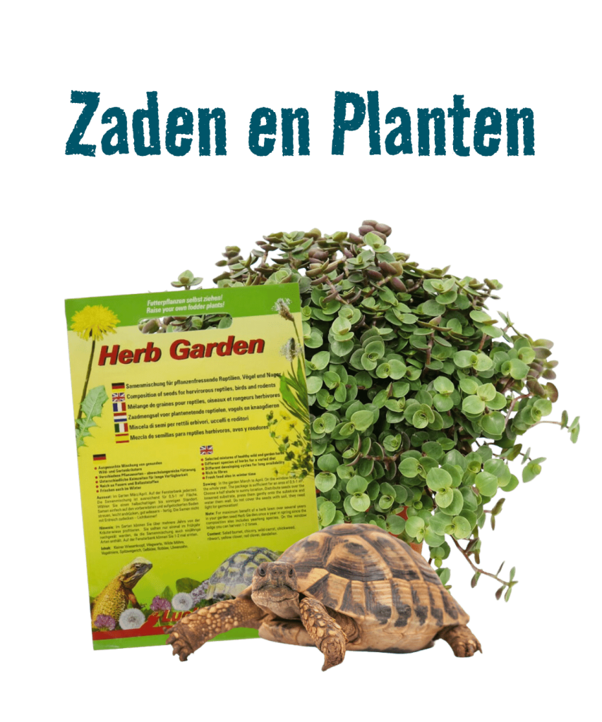 Landschildpadden Zaden En Planten (1)