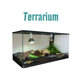 Schildpad Terrarium