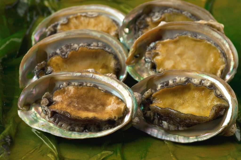 Abalone Shell Delicacy