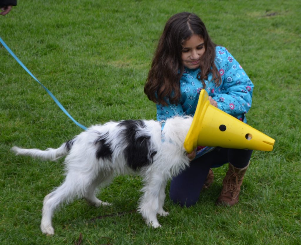 Geordi Dog And Child