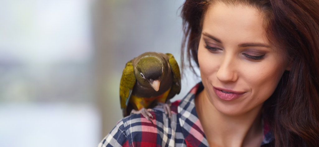 Vogel Buiten De Kooi Doorbrengen