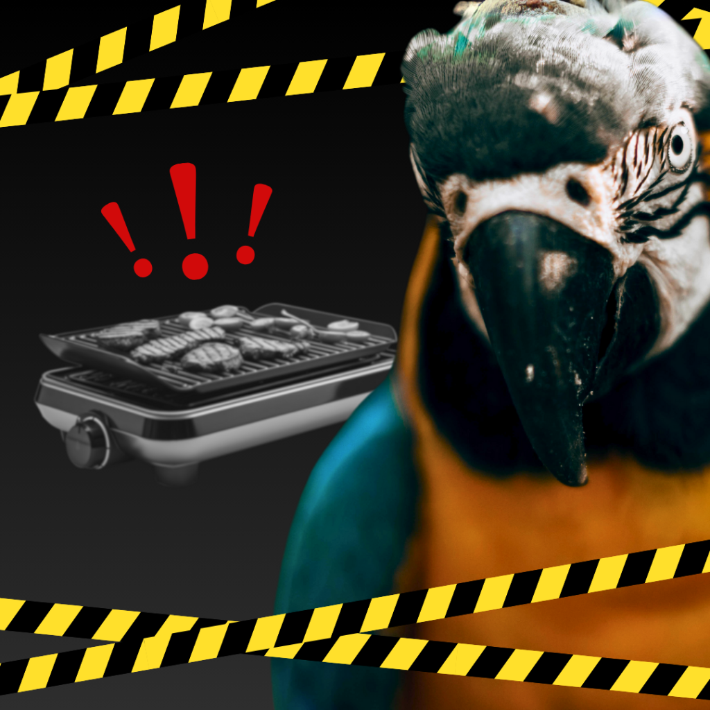 Gourmetten Met Je Vogel Een Dodelijke Combinatie