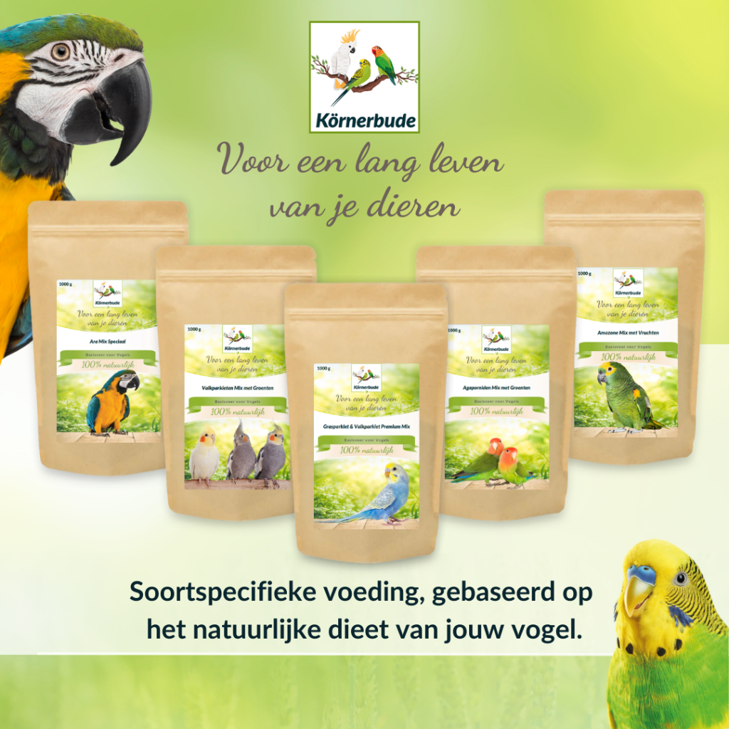 Kornerbude Soortpecifieke Voeding Voor Vogels