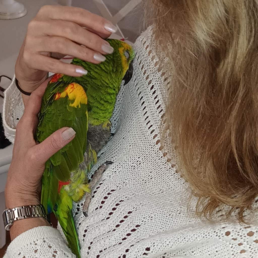 Opa Lore 86 Jaar Oude Papegaai Met Joyce