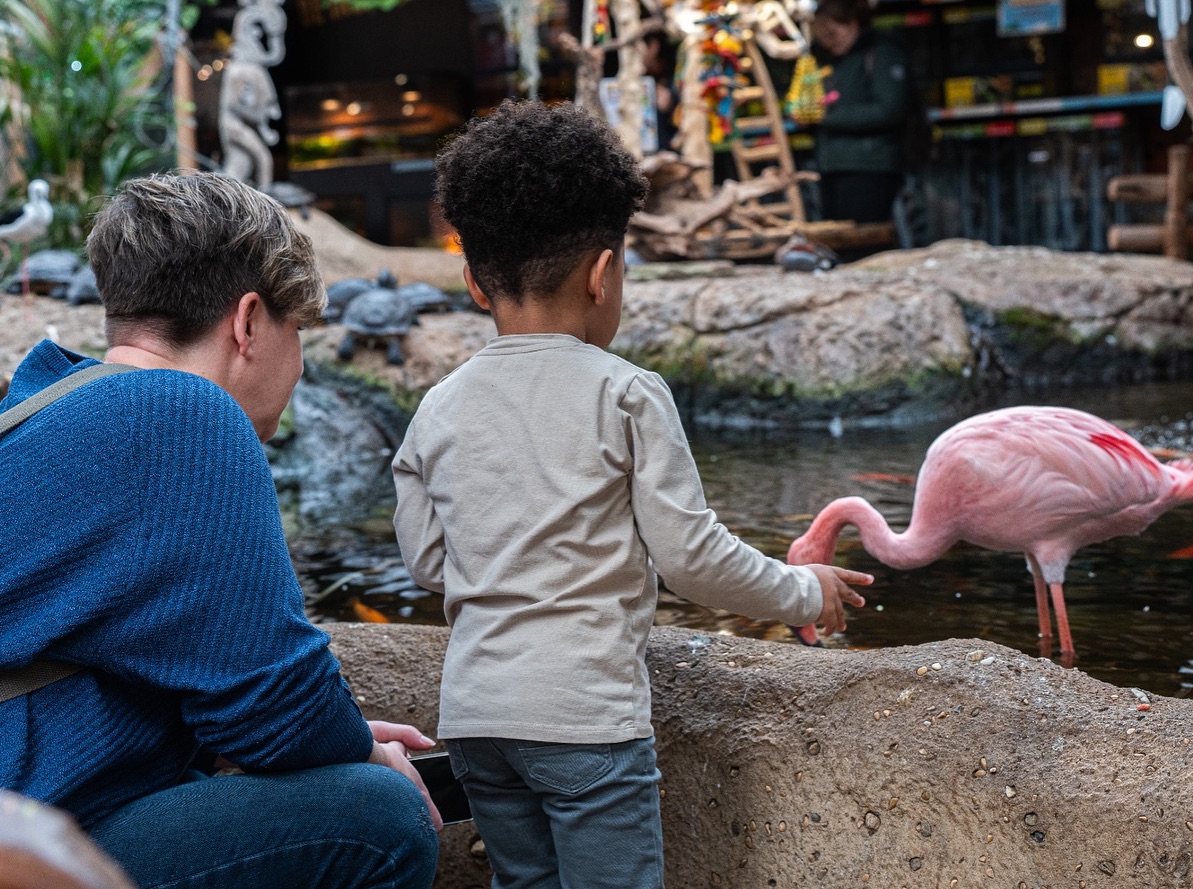 Leukste Uyitje Van Den Haag