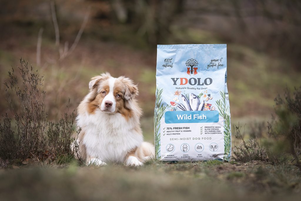 Ydolo April Mei 2 Insta