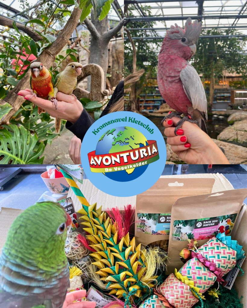 Kromsnavel Kletsclub